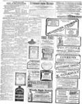 imagen miniatura de la página