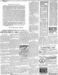 imagen miniatura de la página