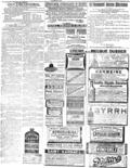imagen miniatura de la página