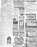 imagen miniatura de la página