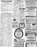 imagen miniatura de la página