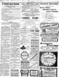 imagen miniatura de la página