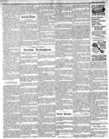 imagen miniatura de la página