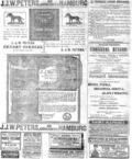 imagen miniatura de la página