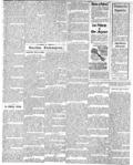 imagen miniatura de la página