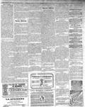 imagen miniatura de la página