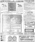imagen miniatura de la página