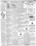 imagen miniatura de la página