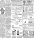 imagen miniatura de la página