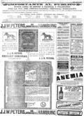 imagen miniatura de la página