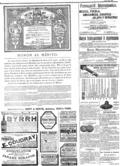 imagen miniatura de la página