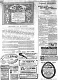 imagen miniatura de la página