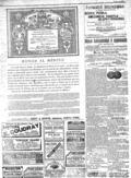 imagen miniatura de la página