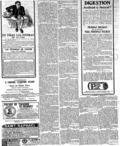 imagen miniatura de la página