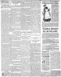 imagen miniatura de la página
