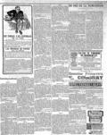 imagen miniatura de la página