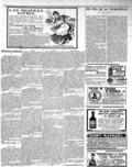 imagen miniatura de la página