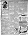 imagen miniatura de la página
