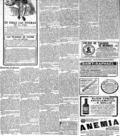 imagen miniatura de la página