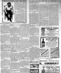 imagen miniatura de la página