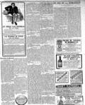 imagen miniatura de la página