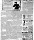 imagen miniatura de la página