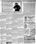 imagen miniatura de la página