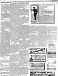 imagen miniatura de la página