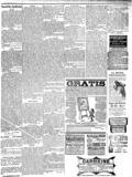 imagen miniatura de la página