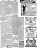 imagen miniatura de la página