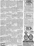 imagen miniatura de la página