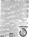 imagen miniatura de la página