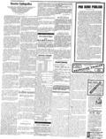 imagen miniatura de la página