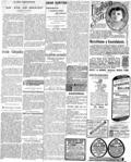 imagen miniatura de la página
