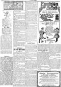 imagen miniatura de la página