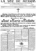 imagen miniatura de la página