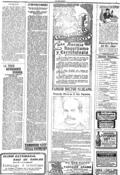 imagen miniatura de la página