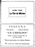 imagen miniatura de la página