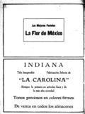 imagen miniatura de la página