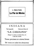 imagen miniatura de la página