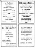 imagen miniatura de la página