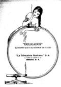 imagen miniatura de la página