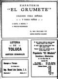 imagen miniatura de la página