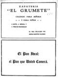 imagen miniatura de la página