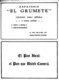 imagen miniatura de la página