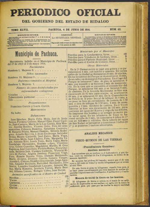 imagen miniatura de la página