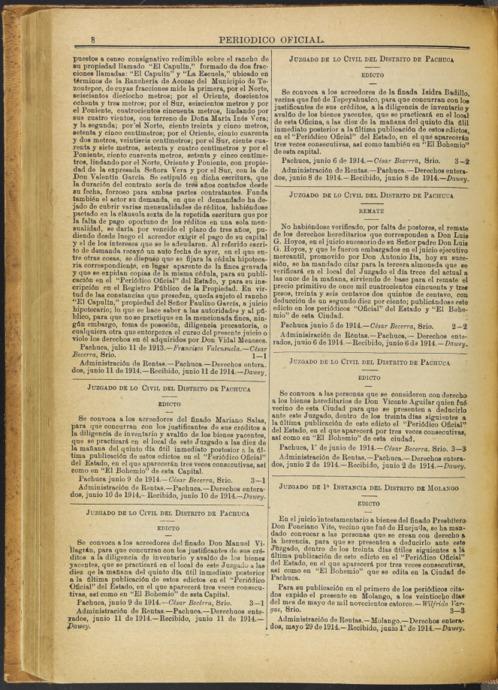 imagen miniatura de la página