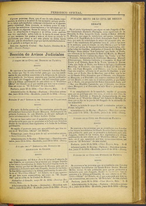 imagen miniatura de la página