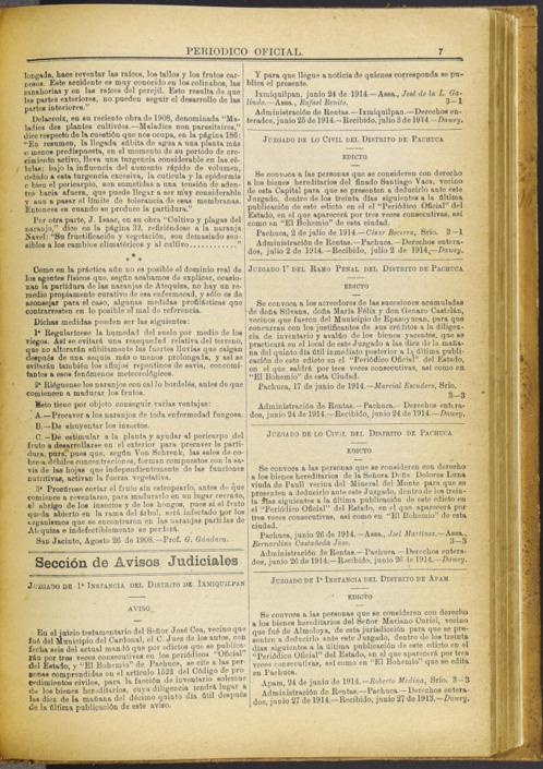 imagen miniatura de la página
