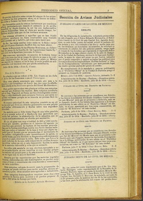imagen miniatura de la página